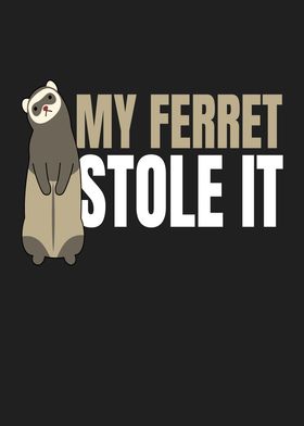 My Ferret Stole It