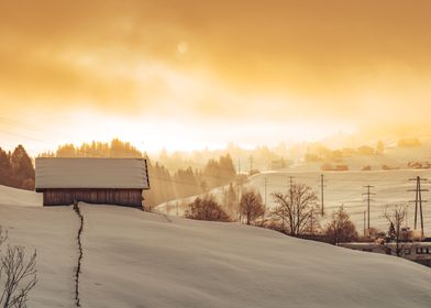 Foggy Winter Sunrise