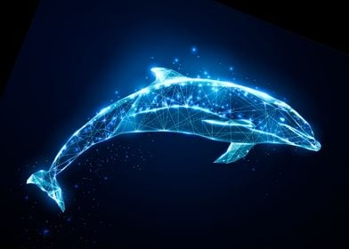 Cosmic Dolphin Animal