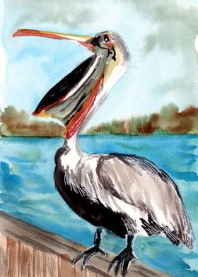Pelican Bird on Pier