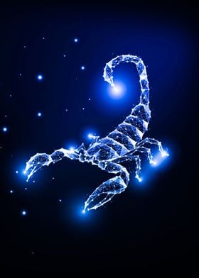 Cosmic Scorpion Animal