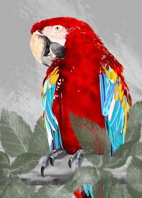 Tropical Parrot