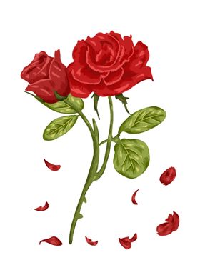 Rose Red Botanical Art