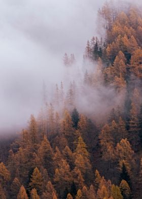 Autumn in the Alps