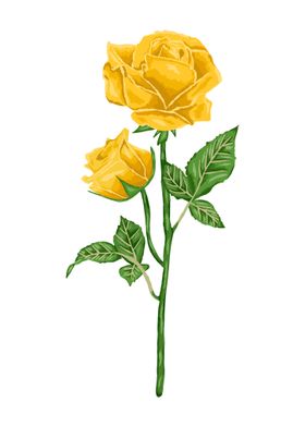 Yellow Rose Botanical Art