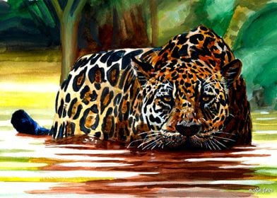 Jaguar