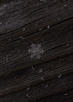 Snow flake