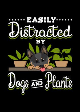 Dogs and Plants 