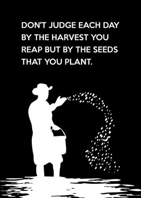 Just Sow the Seeds