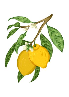 Lemon Botanical Art