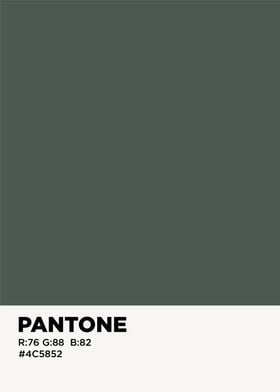 pantone color