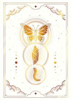 Tarot Butterfly