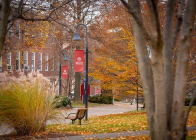 My campus at wpi