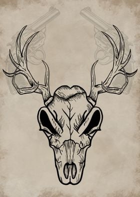 Western Deer Skull