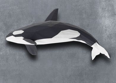 Orca Animal