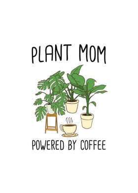 Houseplants Plants Coffee