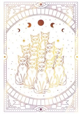 Tarot cats with moon phase