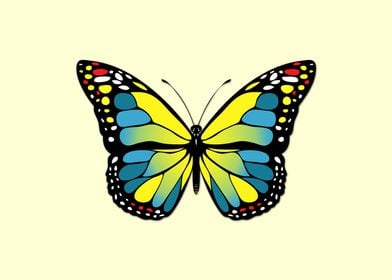 Blue and yellow butterfly