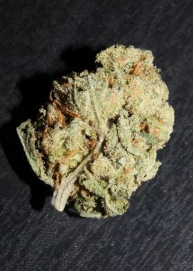 Super lemon haze weed bud