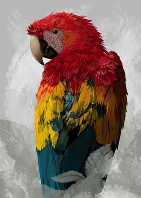 Tropical Parrot l