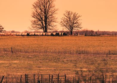 Farm Landscape