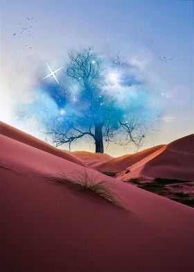 Tree Cloud Space in Desert