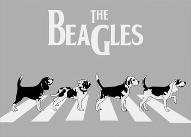 The Beagle