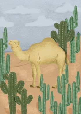 Camel Animals