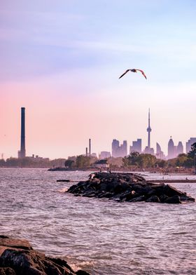 Toronto cityscape sunset