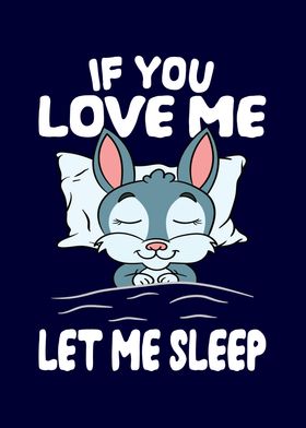 Love Me Let Me Sleep