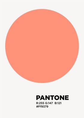 pantone 