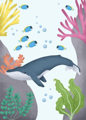 Whale Animals