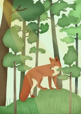 Fox Animals