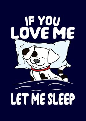 Love Me Let Me Sleep