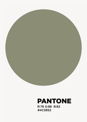 pantone 