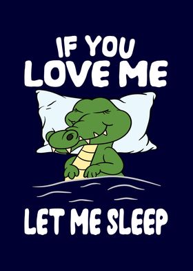 Love Me Let Me Sleep