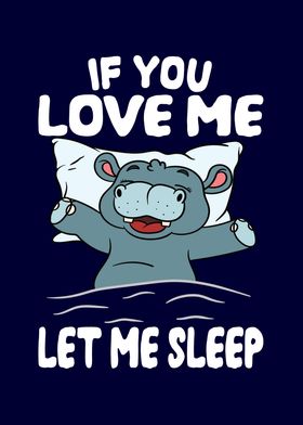 Love Me Let Me Sleep