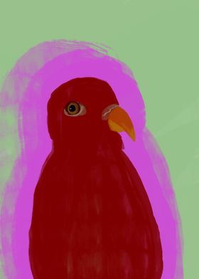 Red bird 