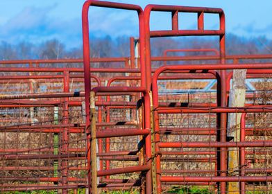 Red Fence on the Farm