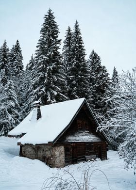 Snowy Cottage