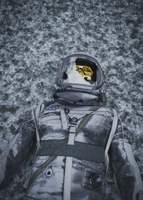 Astronaut Snow