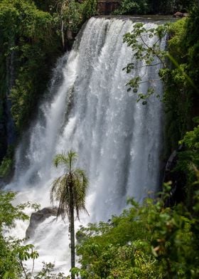 Iguazu falls