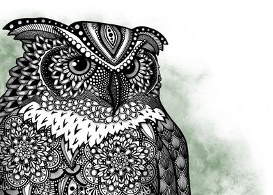 Zentangle Owl Closeup