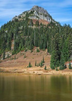 Tipsoo lake golden glow