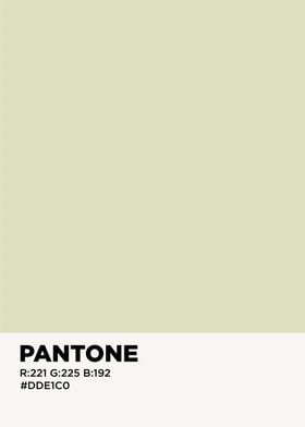 pantone color palette