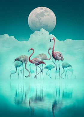 Flamingos in the Mist