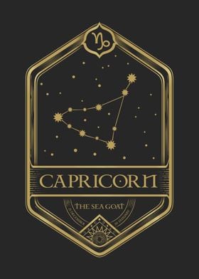 Zodiac Sign Capricorn