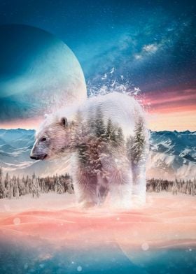 Polar Bear Space Dream
