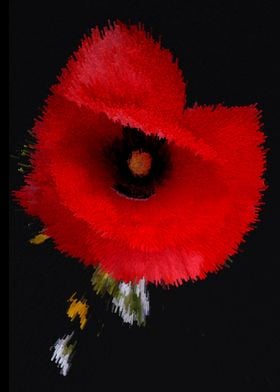 Red poppy explosion