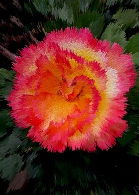 Coral orange rose pixels